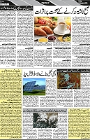 P-02-page-001
