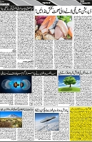 P-02-page-001