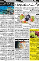 P-02-page-001