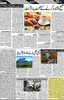P-02-page-001