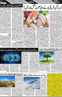 P-02-page-001