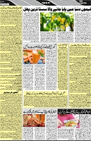 P-05-page-001
