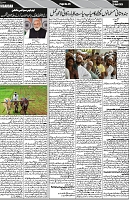 P-05-page-001
