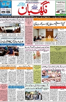 P-01-page-001