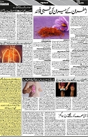 P-02-page-001