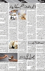 P-07-page-001